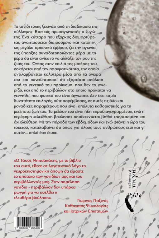 κοινωνικό βιβλίο, νουβέλα, έτσι έτυχε, εκδόσεις πηγή
